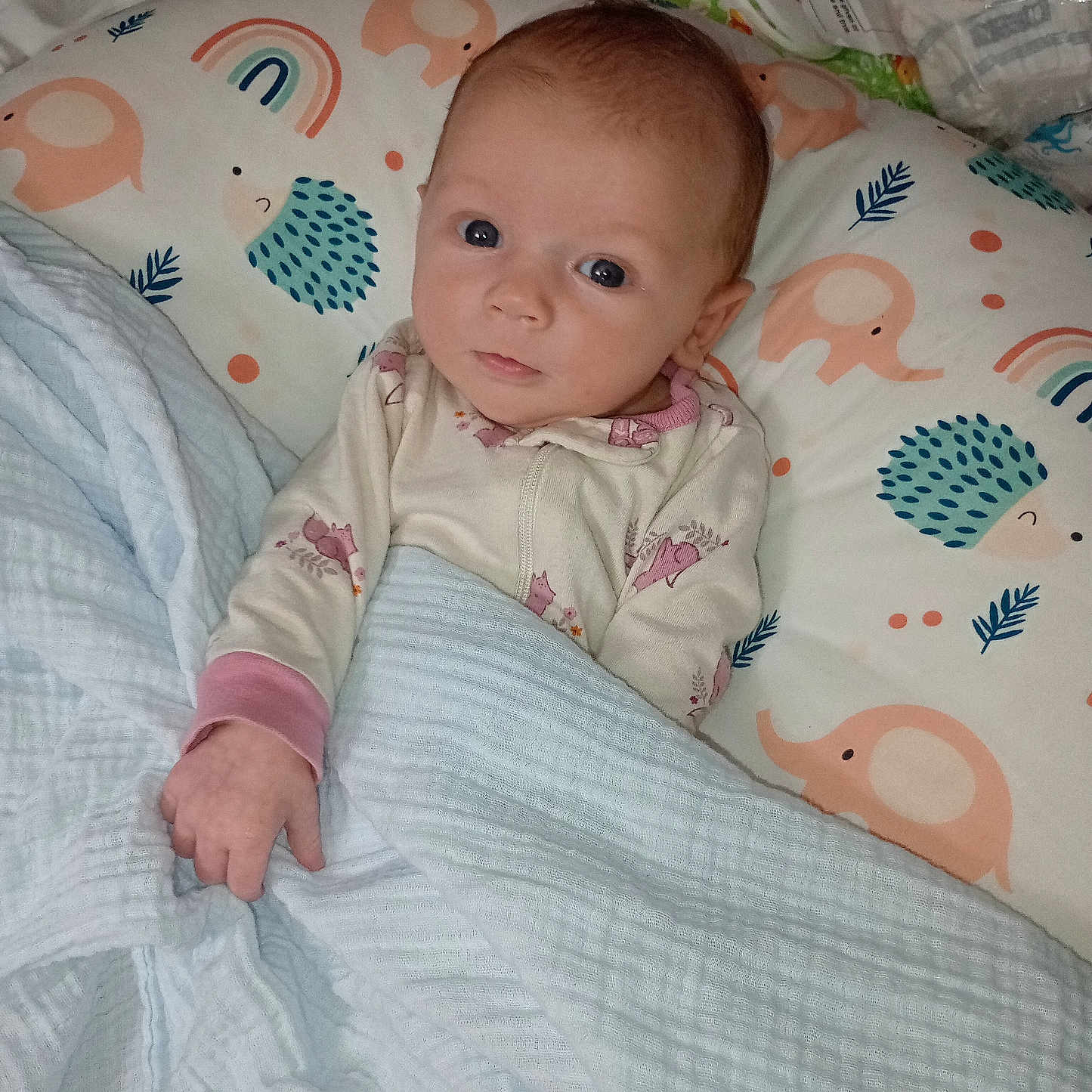 Auburn is registered to the contest to win money with this photo: baby, bed, bedroom, blanket, couch, crib, cushion, face, furniture, head, homedecor, indoors, infantbed, linen, newborn, person, photography, portrait, quilt, room