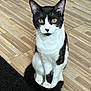 cat, black_and_white, yellow_eyes, sitting, wooden_floor, curious, pet, indoor, fur, tail, whiskers, animal, domestic_cat, looking_at_camera, cute, feline, black_rug, pose, alert, ears