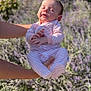 Violet joined the competition — help win amazing prizes! baby, infant, sleeping, pajamas, striped_clothing, hands, arms, outdoor, flowers, lavender, sunlight, peaceful, person, nature, garden, daylight, skin, head, portrait, holding