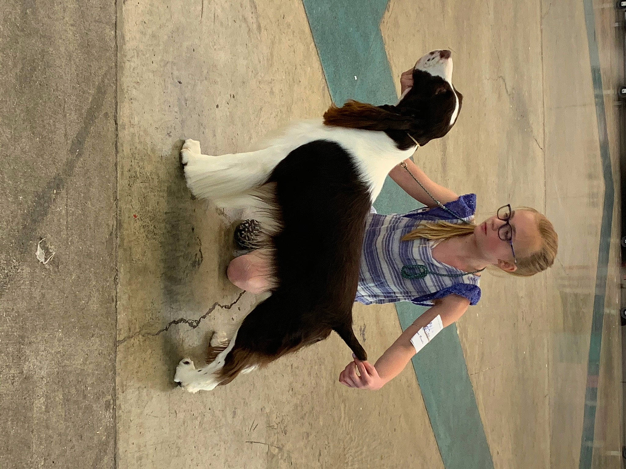 Zeke joined the competition — help win amazing prizes! canidae, child, companion_dog, concrete, dog_breed, foot, fun, fur, gesture, happy, human_leg, leisure, recreation, shadow, sporting_group, tail, thigh, tree, wood