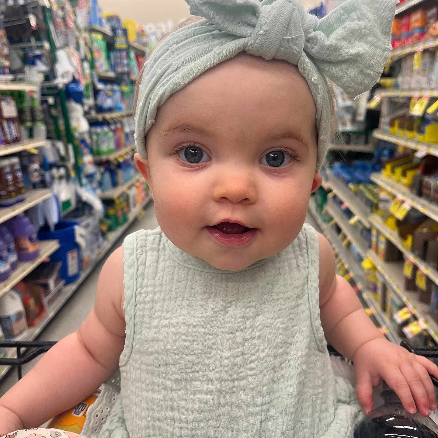 Mallory is registered to the contest to win money with this photo: baby, child, shopping_cart, grocery_store, headband, dress, curious, shopping_aisle, bottle, plush_toy, face, eyes, hand, sitting, retail, products, shelves, indoors, cute, portrait