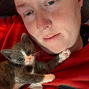 Willow Grey is registered to the contest to win money with this photo: person, kitten, cat, close_up, face, nose_piercing, red_sweatshirt, halloween, jack_o_lantern, bats, cute, pet, indoor, cozy, snuggling, fur, whiskers, paw, expression, relaxed
