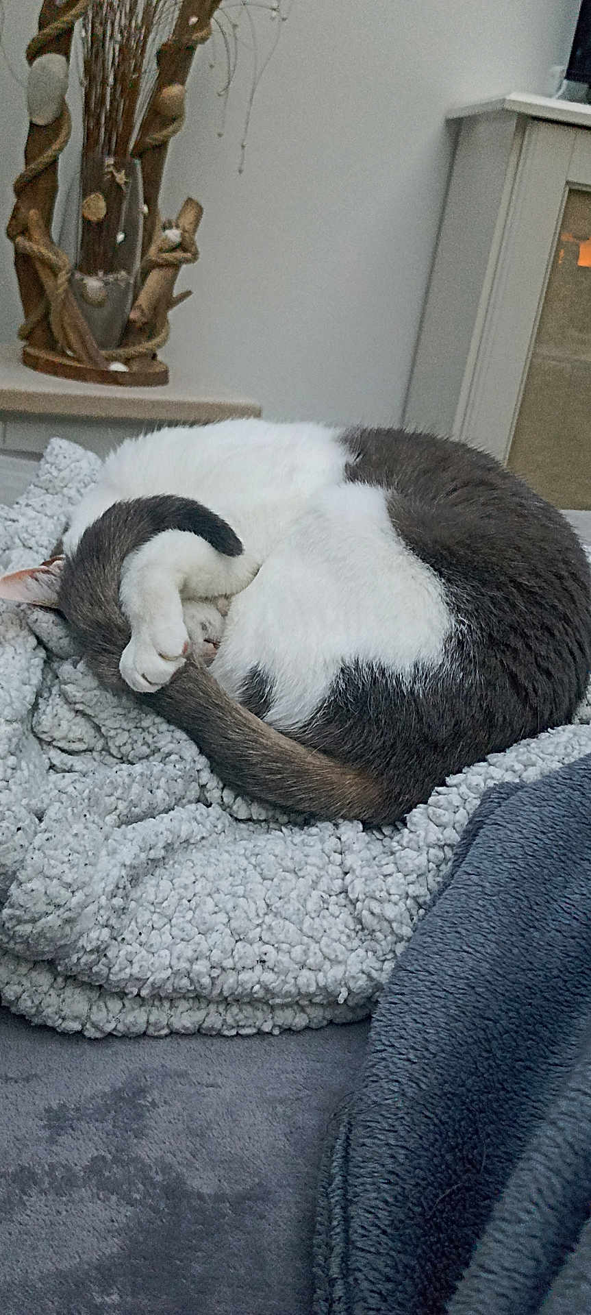 Mya