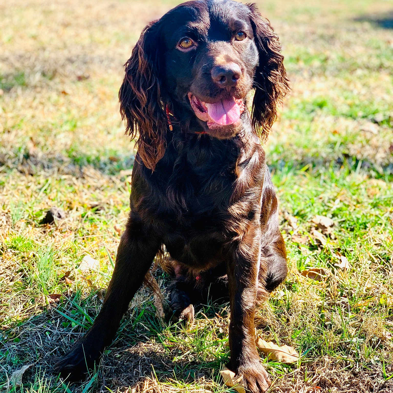 Gunner