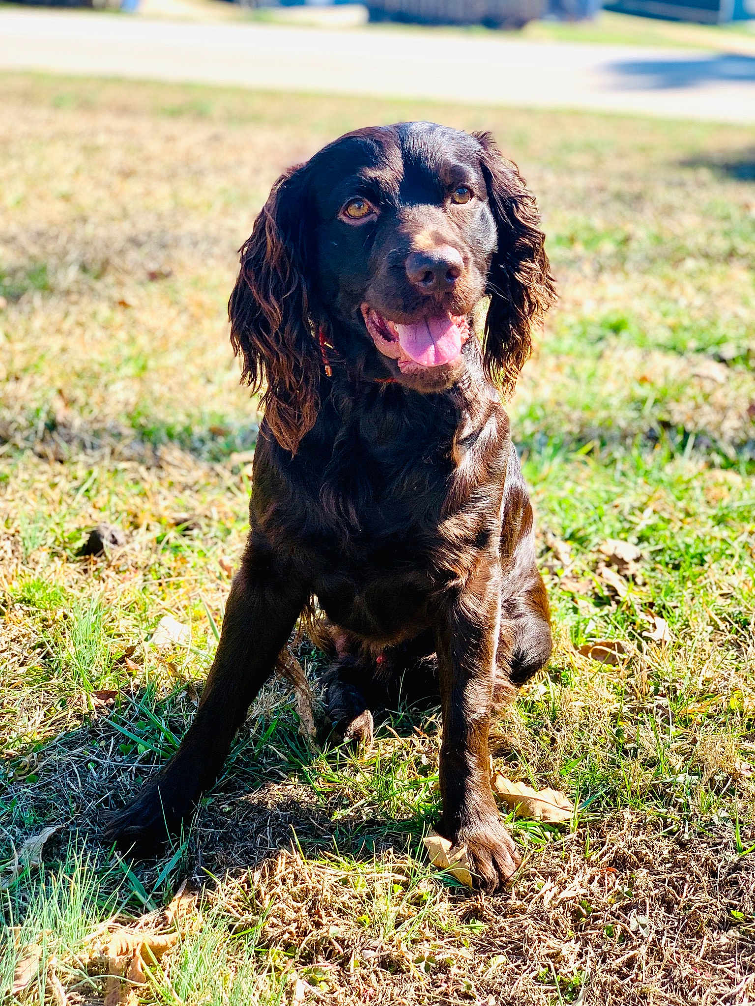 Gunner
