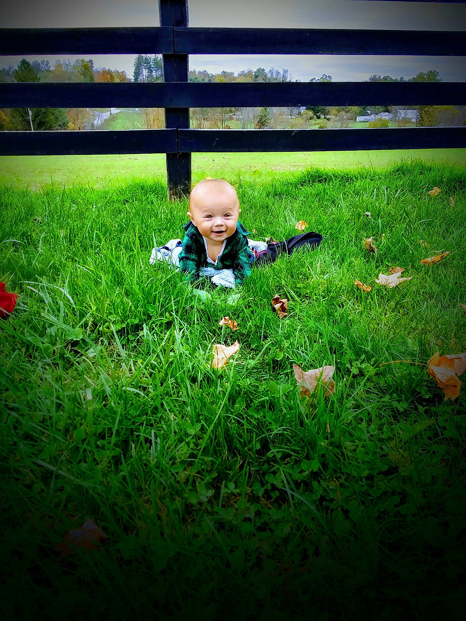 Roy is registered to the contest to win money with this photo: ball, fence, flower, grass, grass_family, grassland, groundcover, happy, hat, landscape, lawn, meadow, natural_landscape, people_in_nature, person, plant, prairie, sky, summer, sunlight