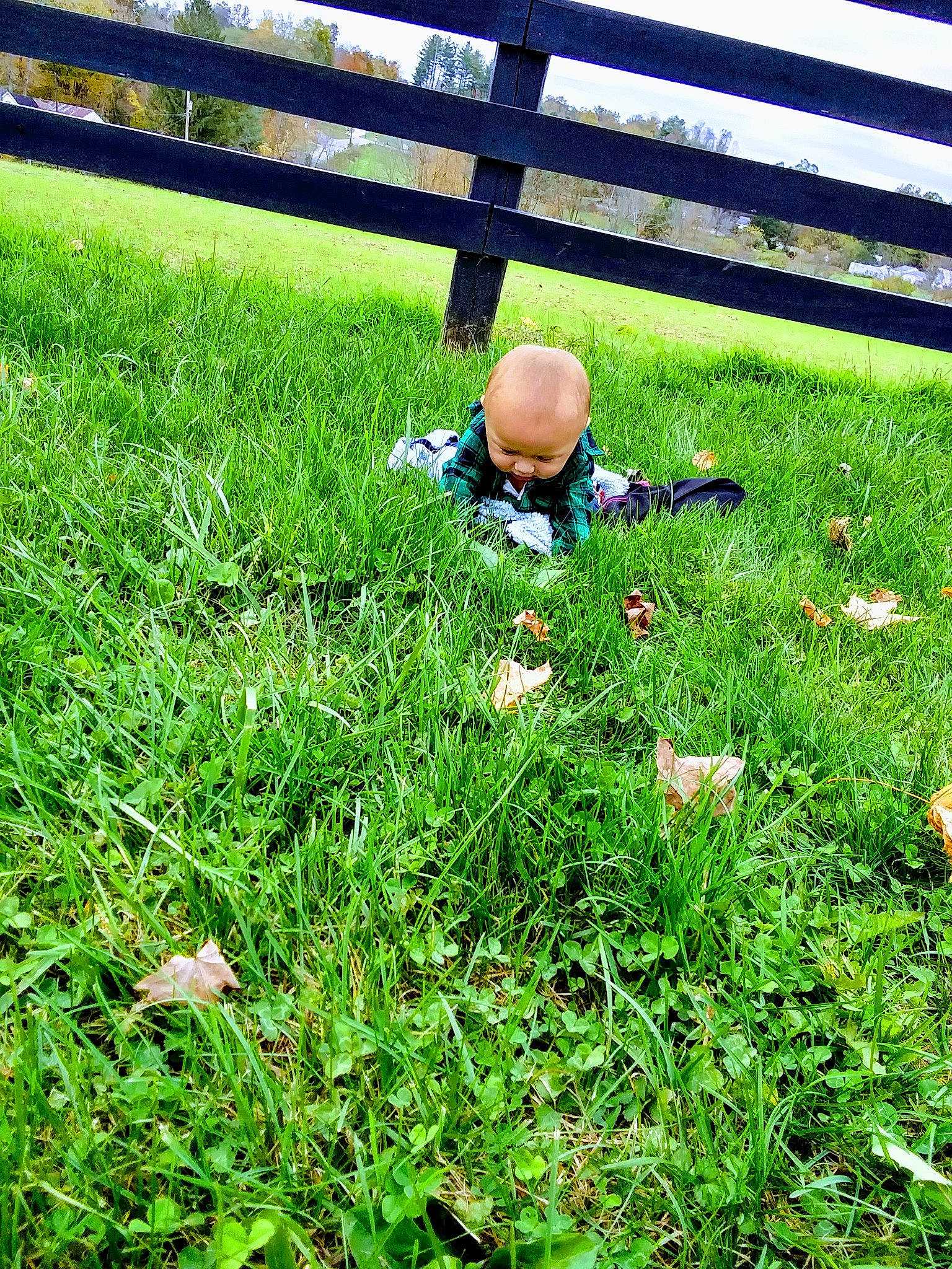 Roy is registered to the contest to win money with this photo: baby, baby_toddler_clothing, electric_blue, fence, grass, grass_family, grassland, groundcover, happy, landscape, lawn, leaf, meadow, nature, pasture, people_in_nature, person, plant, prairie, terrestrial_plant
