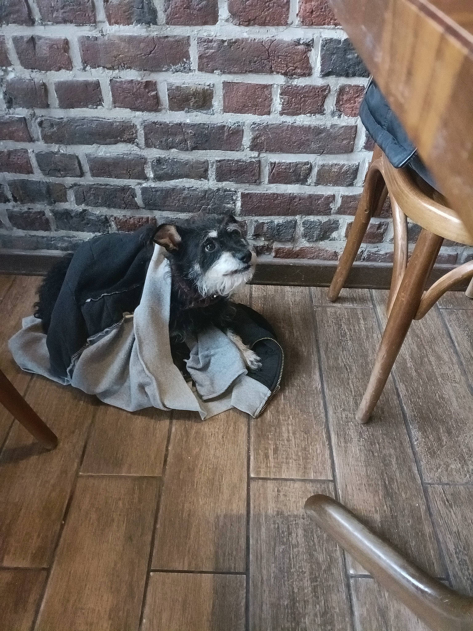 Bouffon participe au concours pour gagner de l'argent avec cette photo : armrest, brick, brickwork, chair, comfort, floor, flooring, grass, grey, hardwood, house, human_leg, laminate_flooring, outdoor_furniture, road_surface, stairs, tree, wood, wood_flooring, wood_stain