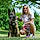 Ares The Malinois