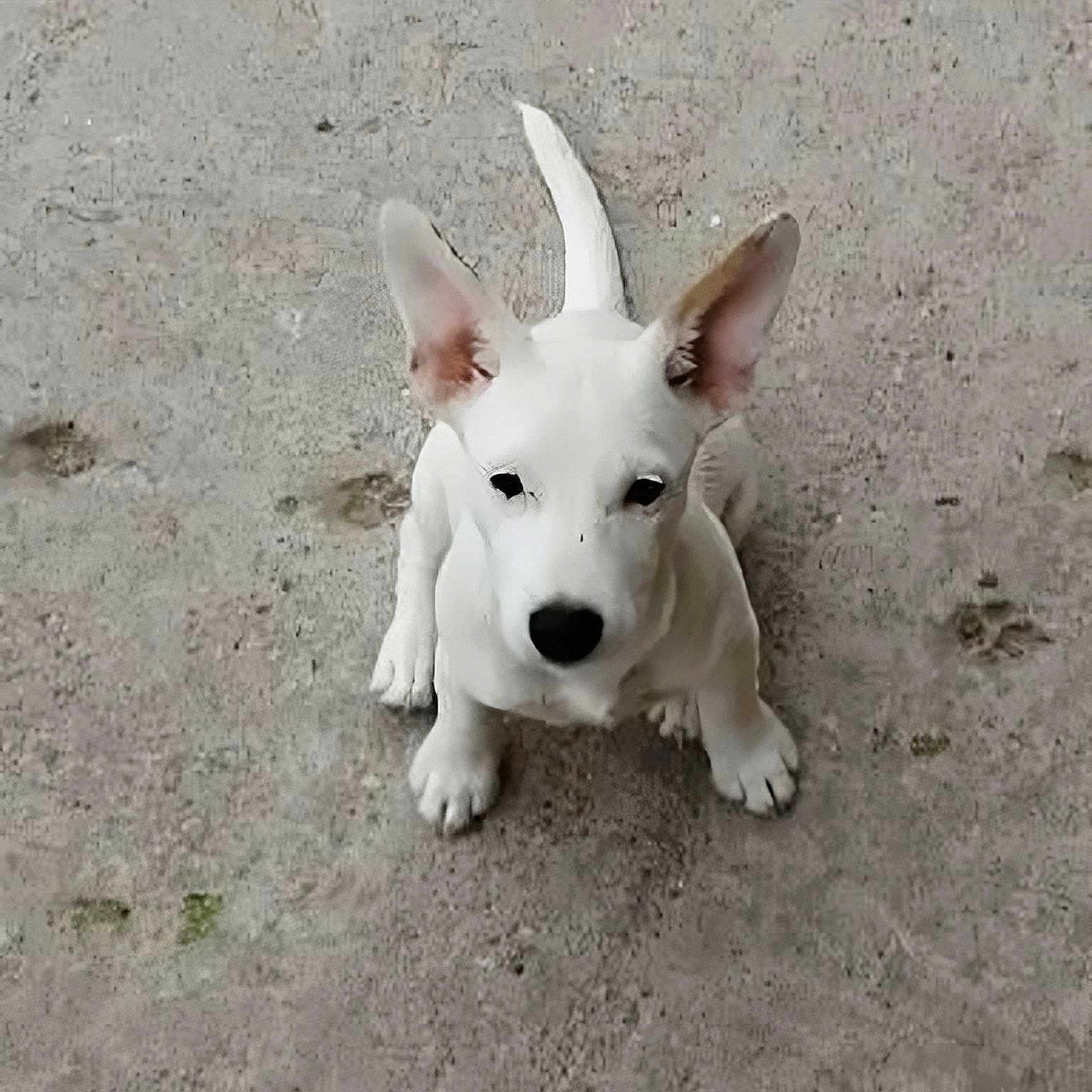 Flake
