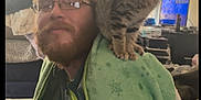 Lucky joined the competition — help win amazing prizes! man, cat, glasses, blanket, indoor, furniture, beard, tabby_cat, sitting, shoulder, window, television, clothing, home, curtain, casual, relaxed, person, pet, cozy