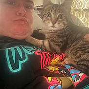 Lucky joined the competition — help win amazing prizes! animal, cat, closeup, cozy, curtain, domestic, expression, face, feline, graphic_tee, hand, indoor, kitten, pattern, person, pet, pout, selfie, shirt, tabby