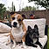 Dexter And Eli