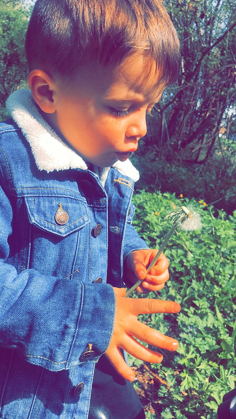 Timéo participe au concours pour gagner de l'argent avec cette photo : baby_toddler_clothing, beauty, button, child, collar, cool, denim, electric_blue, finger, grass, happy, leaf, lip, people_in_nature, person, plant, skin, sleeve, sunlight, toddler