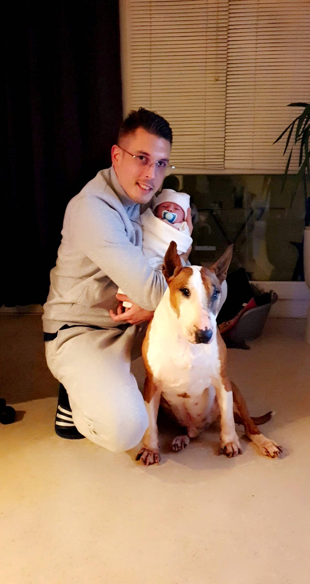 Maydenn a rejoint le concours — aidez-le/la à gagner de superbes lots ! carnivore, companion_dog, contact_sport, curtain, dog, dog_breed, event, fawn, flooring, flowerpot, formal_wear, happy, houseplant, kung_fu, martial_arts, person, plant, smile, sporting_group, sports