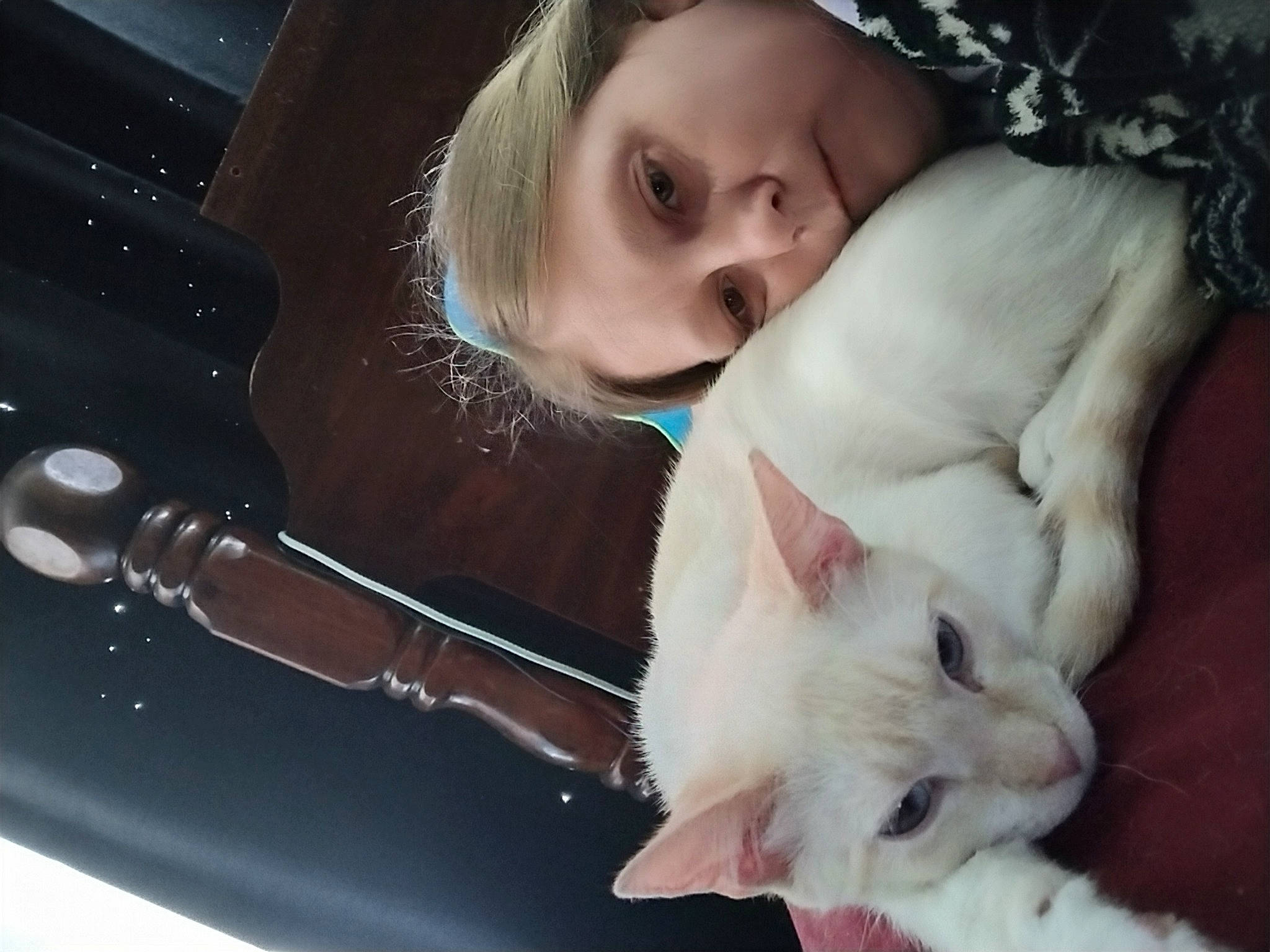 Jasper joined the competition — help win amazing prizes! carnivore, cat, comfort, domestic_short_haired_cat, eye, eyelash, felidae, fur, gesture, happy, head, linens, love, nose, paw, photo_caption, portrait_photography, small_to_medium_sized_cats, tail, whiskers