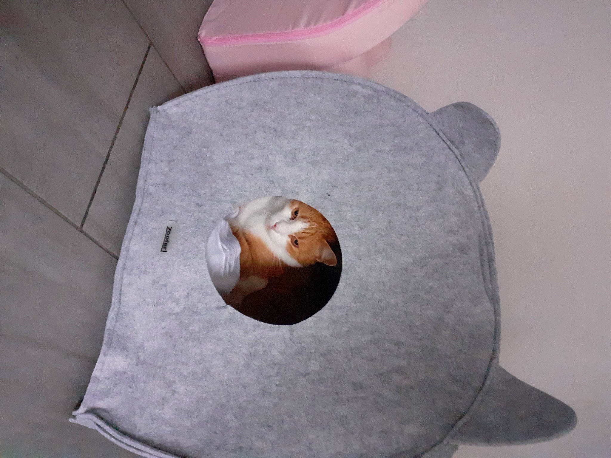 Bart participe au concours pour gagner de l'argent avec cette photo : art, audio_equipment, auto_part, circle, head, linens, metal, paper, paper_product, plush, sculpture, snout, tissue_paper, toy, wood