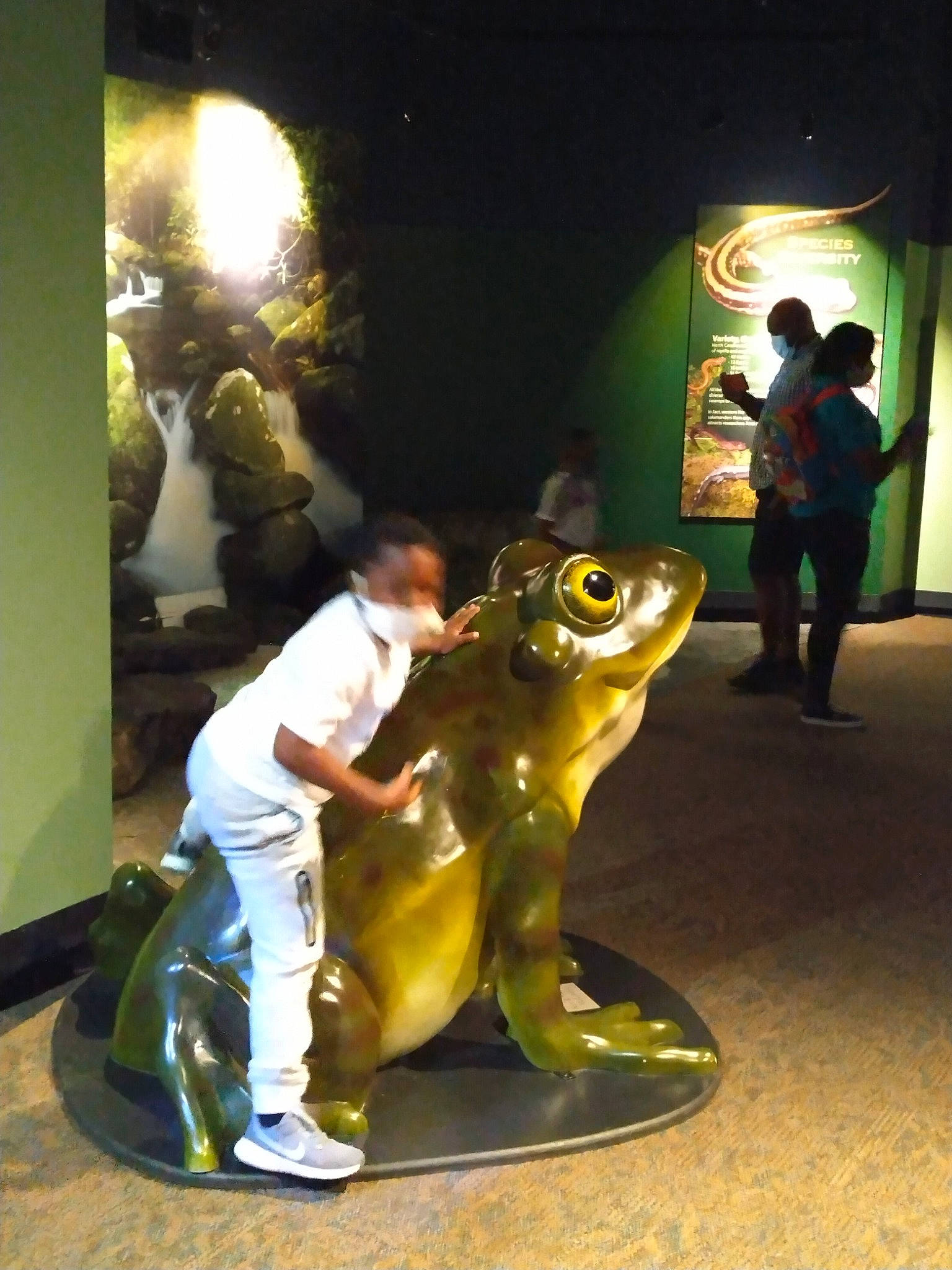 Micah is registered to the contest to win money with this photo: amphibian, art, backpack, event, fictional_character, figurine, fish, flooring, frog, fun, leisure, luggage_and_bags, person, recreation, reptile, sculpture, toad, tourist_attraction, toy, tree_frog