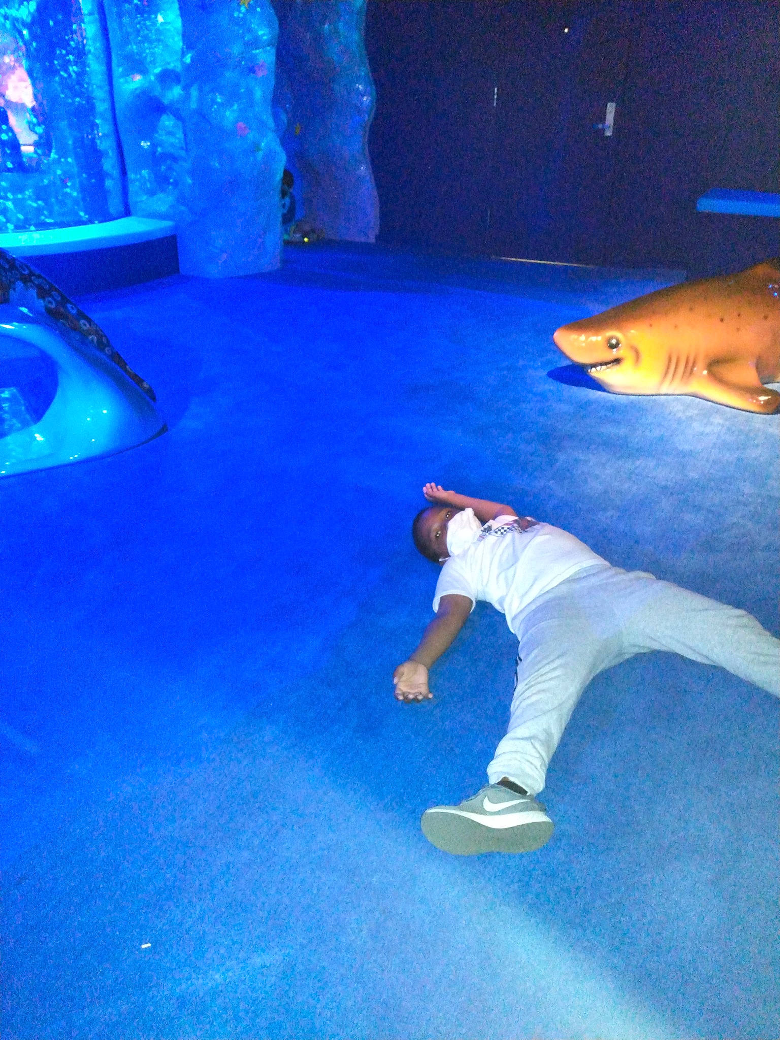 Micah joined the competition — help win amazing prizes! blue, carcharhiniformes, cartilaginous_fish, electric_blue, entertainment, fin, fish, floor, flooring, fun, great_white_shark, lamnidae, lamniformes, leisure, person, recreation, requiem_shark, shark, sky, squaliformes