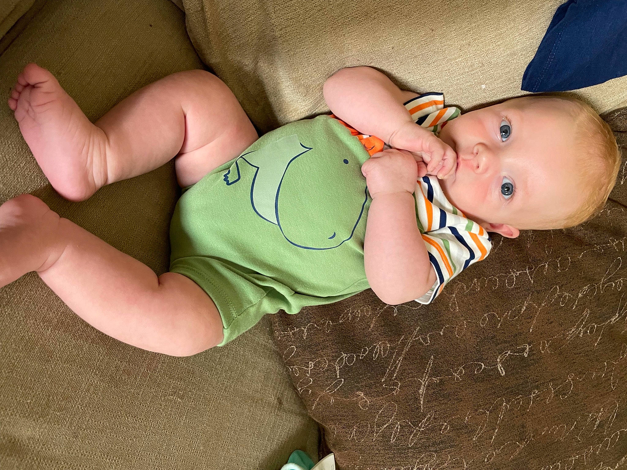 Mordecai joined the competition — help win amazing prizes! baby, baby_toddler_clothing, cheek, chest, comfort, eye, finger, headgear, human_body, joint, leg, mouth, nail, neck, person, skin, sleeve, stomach, thigh, toddler
