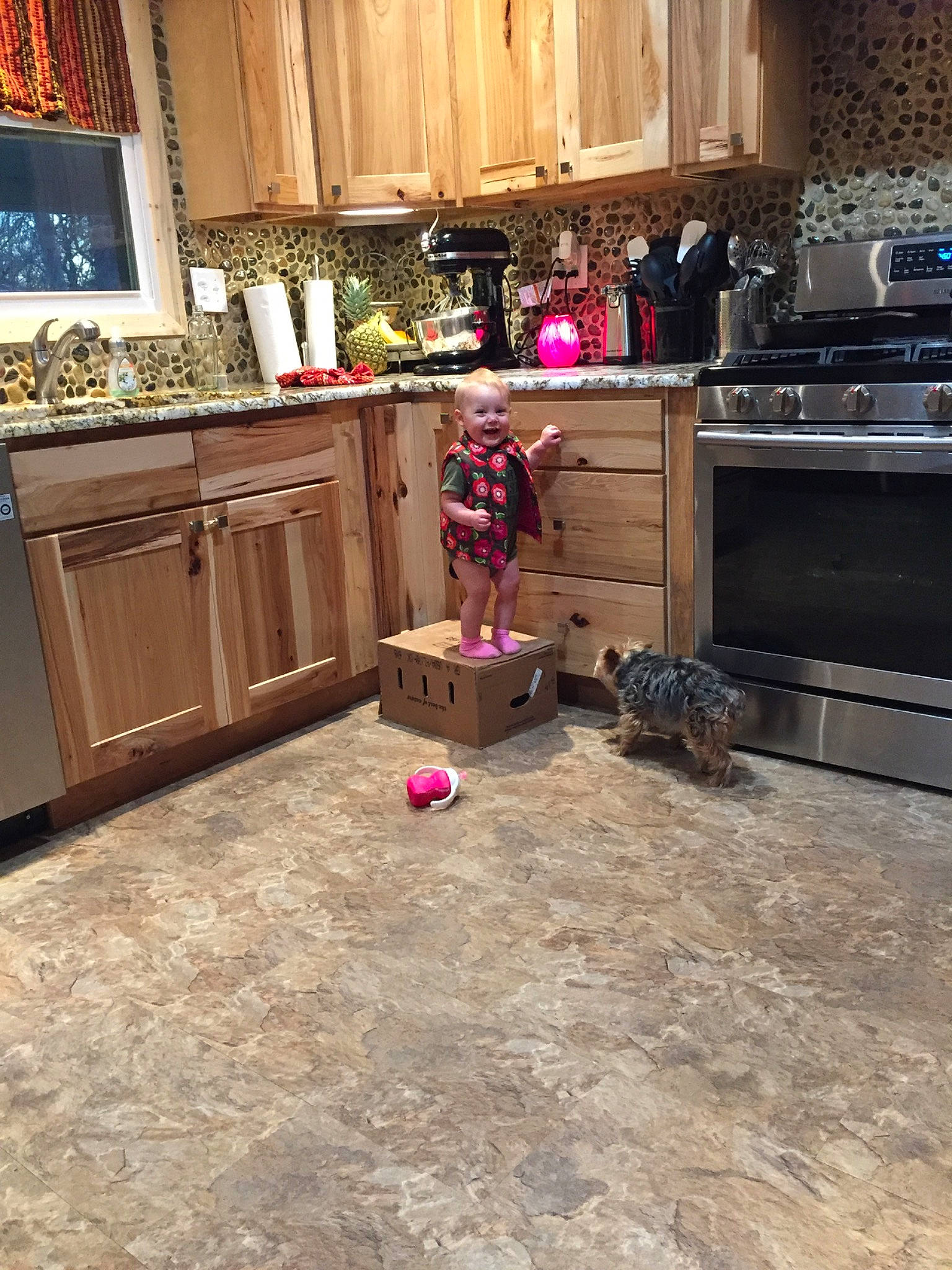 Brylee joined the competition — help win amazing prizes! building, cabinetry, countertop, floor, flooring, furniture, hardwood, home, house, interior_design, joy, kitchen, laminate_flooring, person, property, room, tile, wood, wood_flooring