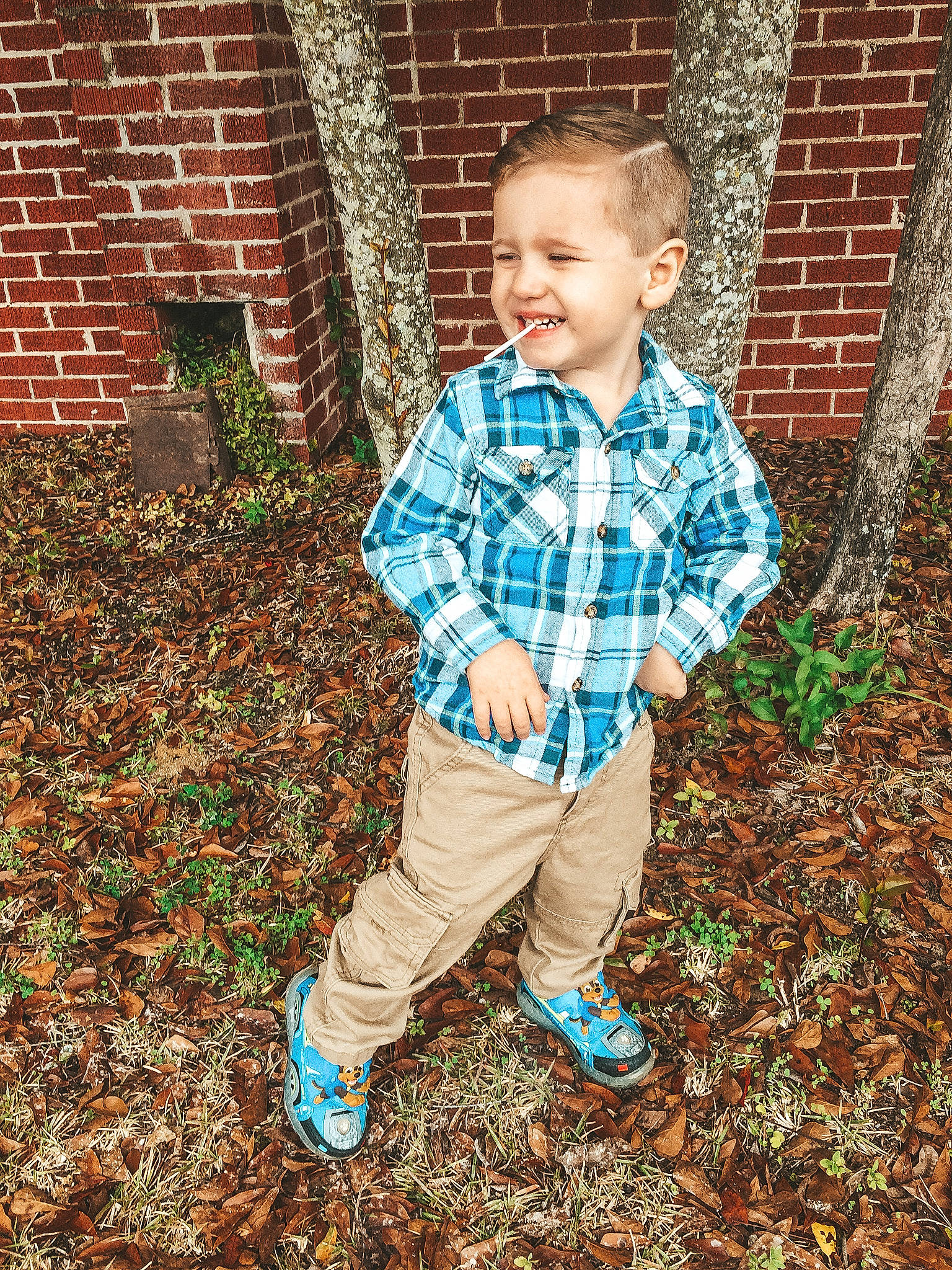 Aiden is registered to the contest to win money with this photo: boy, child, clothing, fun, grass, jeans, joy, outerwear, pattern, person, plaid, plant, play, toddler, tree