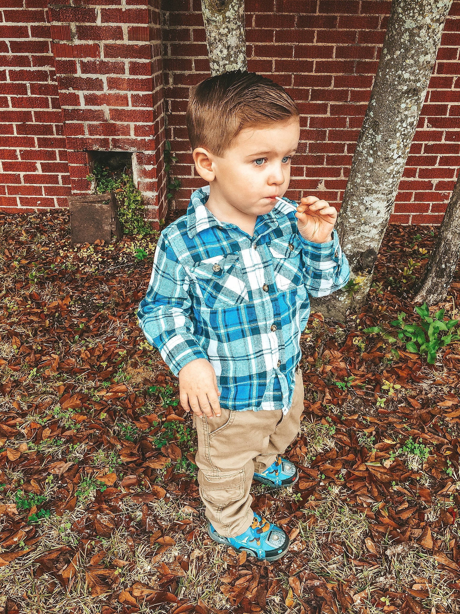 Aiden joined the competition — help win amazing prizes! boy, child, clothing, design, fun, girl, grass, jeans, outerwear, pattern, person, plaid, plant, play, portrait_photography, smile, standing, tartan, toddler, tree