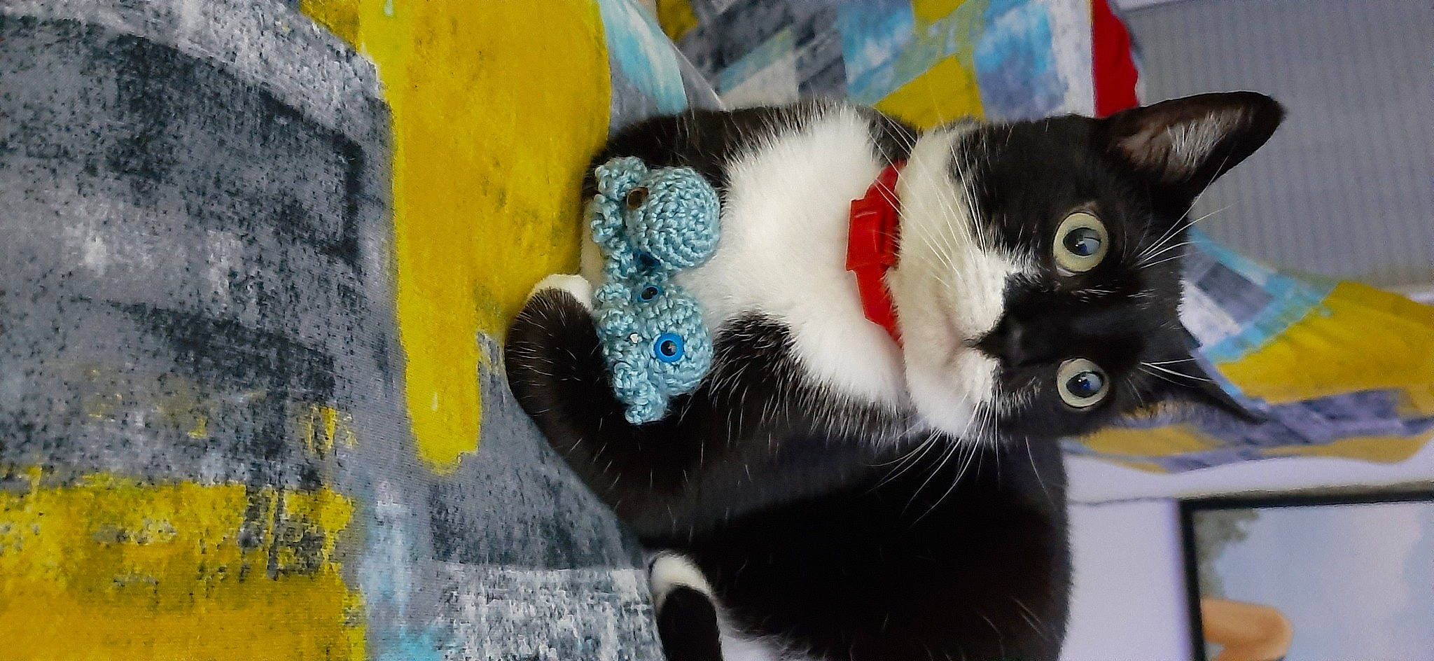 Obiwan participe au concours pour gagner de l'argent avec cette photo : art, carnivore, cat, concrete, domestic_short_haired_cat, felidae, fur, graffiti, mural, paint, paw, plant, small_to_medium_sized_cats, snout, tail, tree, visual_arts, whiskers, window, yellow