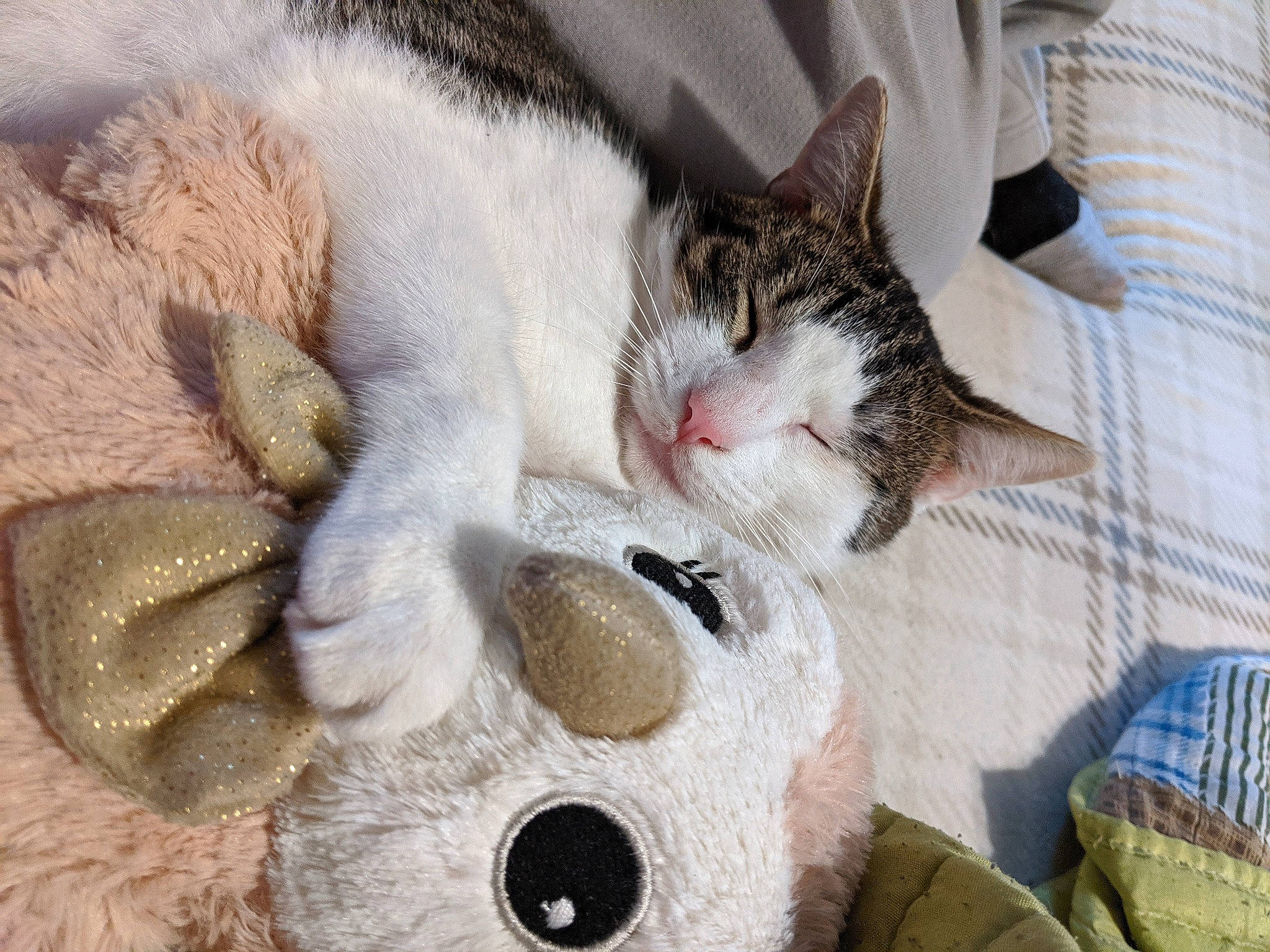 Mr. Man Aka Manbearpig