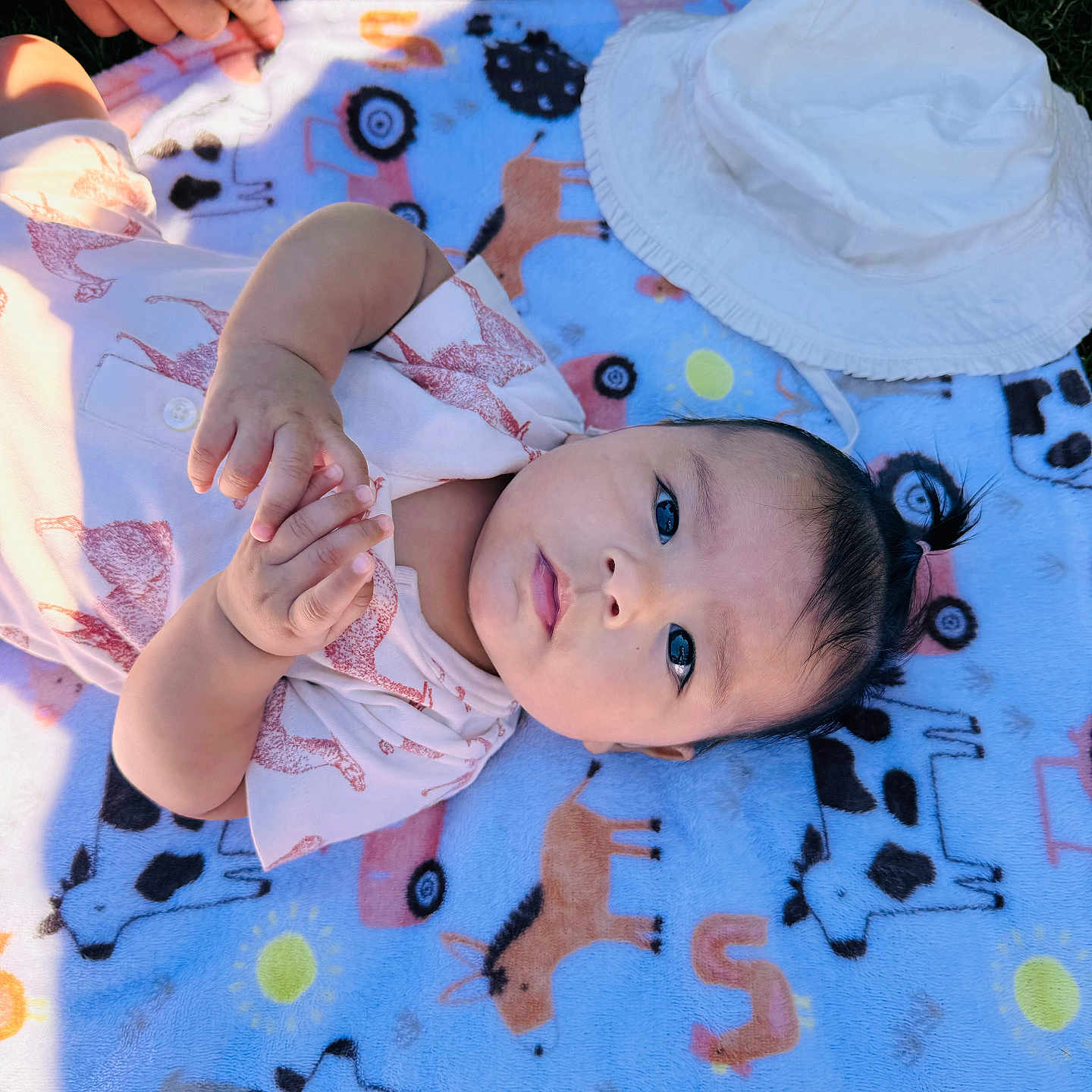 Amor joined the competition — help win amazing prizes! applique, baby, blanket, bodypart, bonnet, clothing, face, finger, furniture, grass, hand, hat, head, newborn, person, photography, plant, portrait, quilt, sunhat