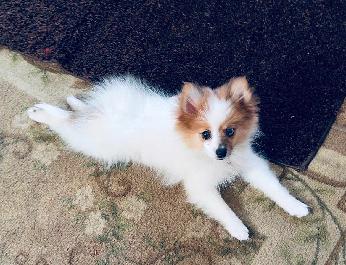 Charlie
