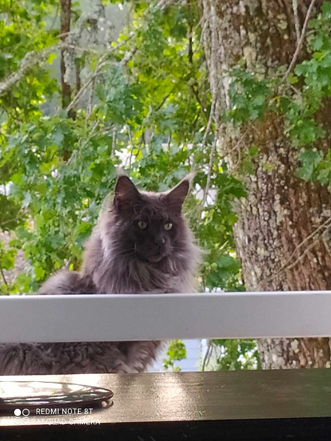Percival