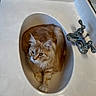 animal, bathroom, cat, chrome, clean, comfort, countertop, cozy, curled_up, cute, domestic, faucet, fur, indoor, orange_tabby, pet, reflection, relaxed, sink, whiskers