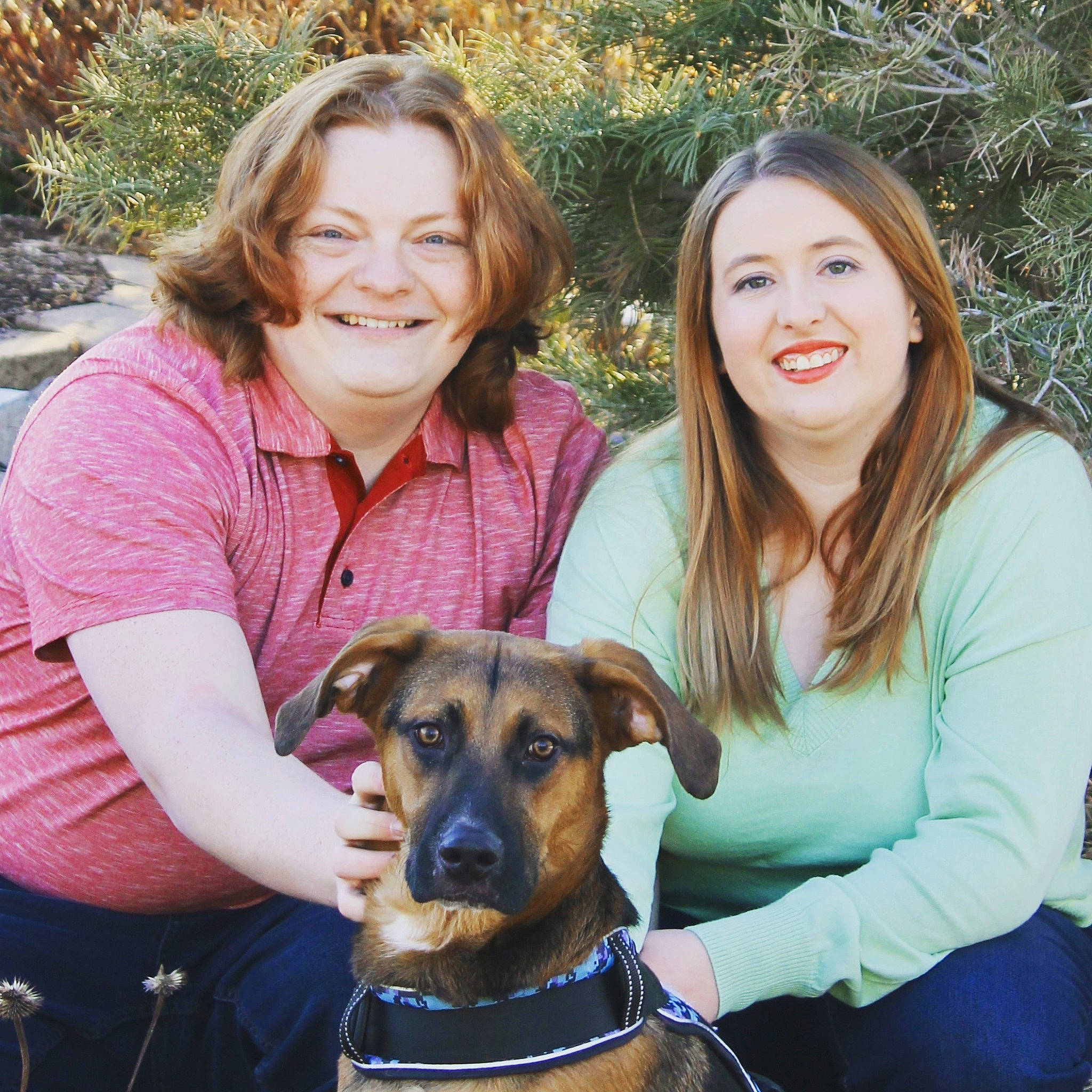 Titan joined the competition — help win amazing prizes! carnivore, clothing, collar, companion_dog, dog, dog_breed, dog_collar, event, fawn, fun, grass, happy, lap, leisure, organ, people_in_nature, plant, sitting, smile, sporting_group