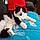 Duchesse