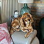 dog, golden_retriever, pet, indoor, sofa, armrest, lamp, snow_globe, decor, pillow, radiator, brick_wall, furniture, cozy, comfortable, cute, head_tilt, living_room, relaxed, floppy_ears