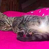 Jess is registered to the contest to win money with this photo: