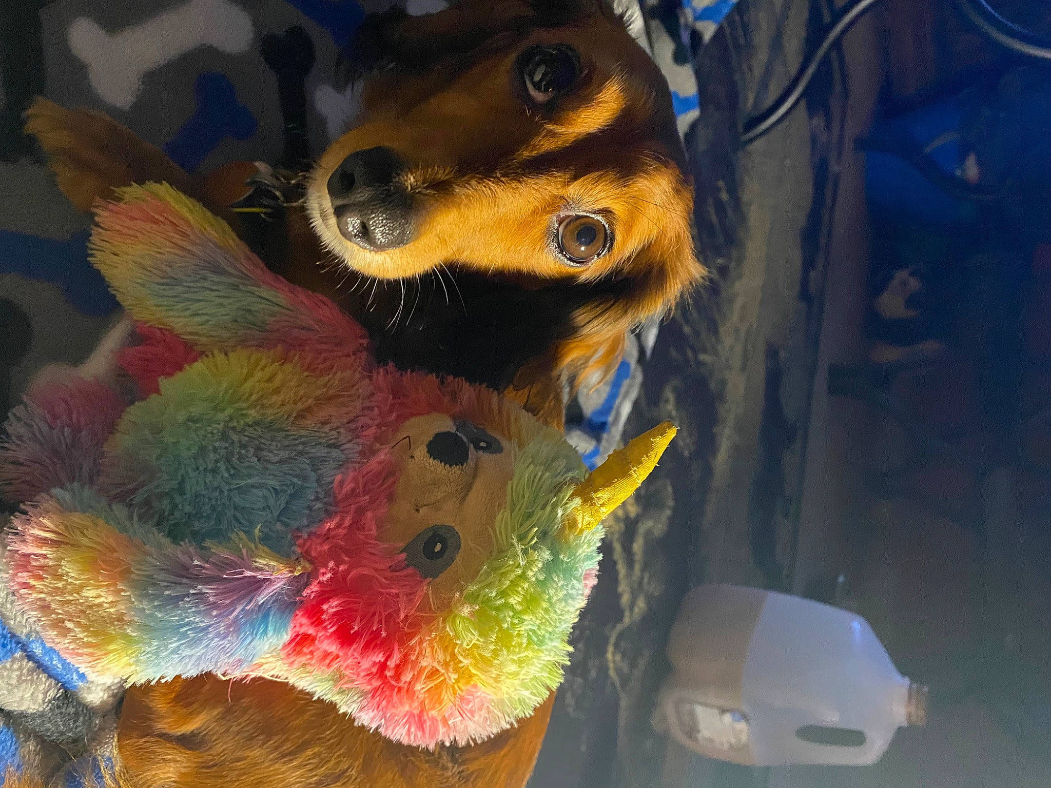 Brandy is registered to the contest to win money with this photo: acrylic_paint, animation, art, artist, cg_artwork, electric_blue, fashion_accessory, feather, fictional_character, fur, illustration, modern_art, paint, painting, self_portrait, selfie, visual_arts, watercolor_paint, wildlife