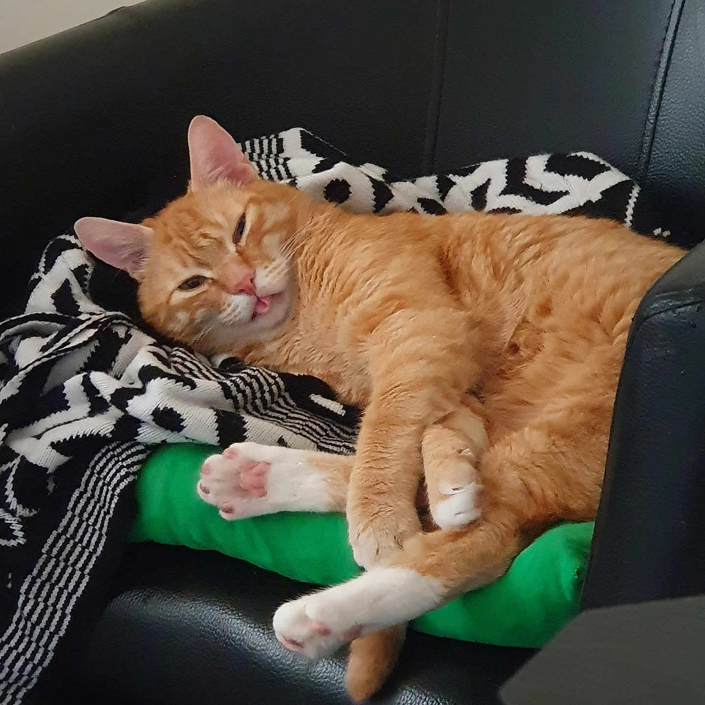Simba