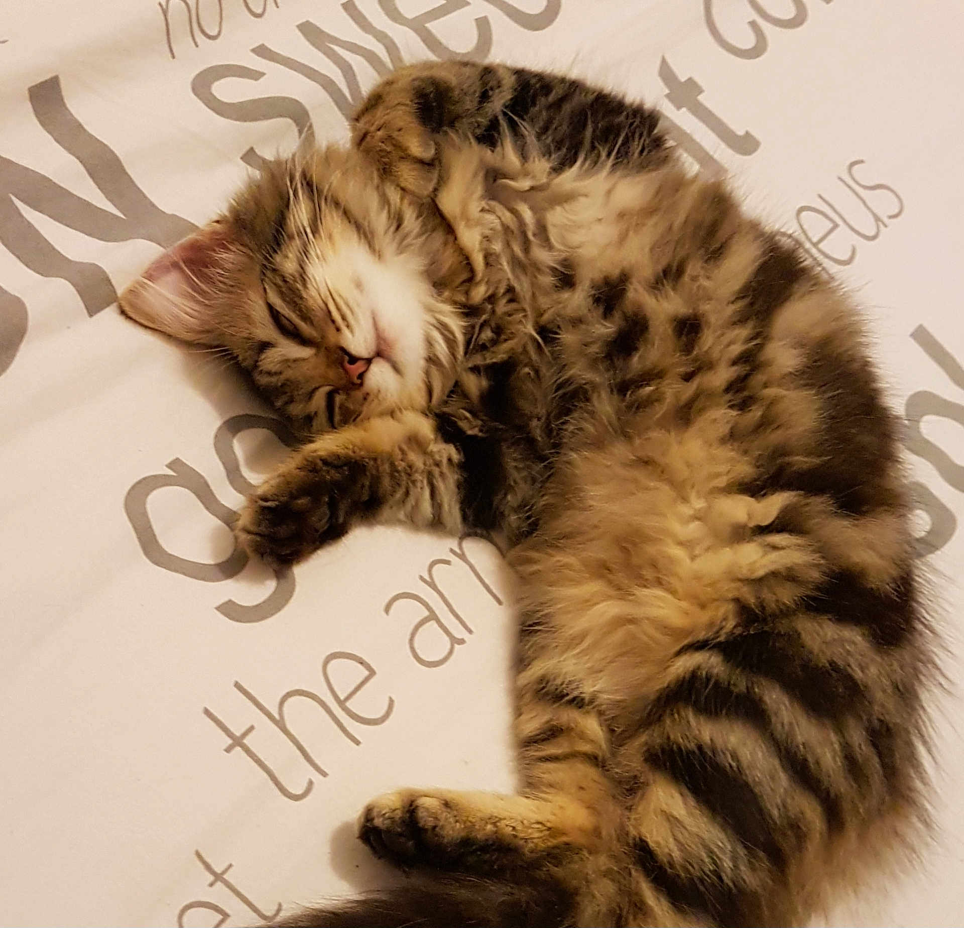Mia
