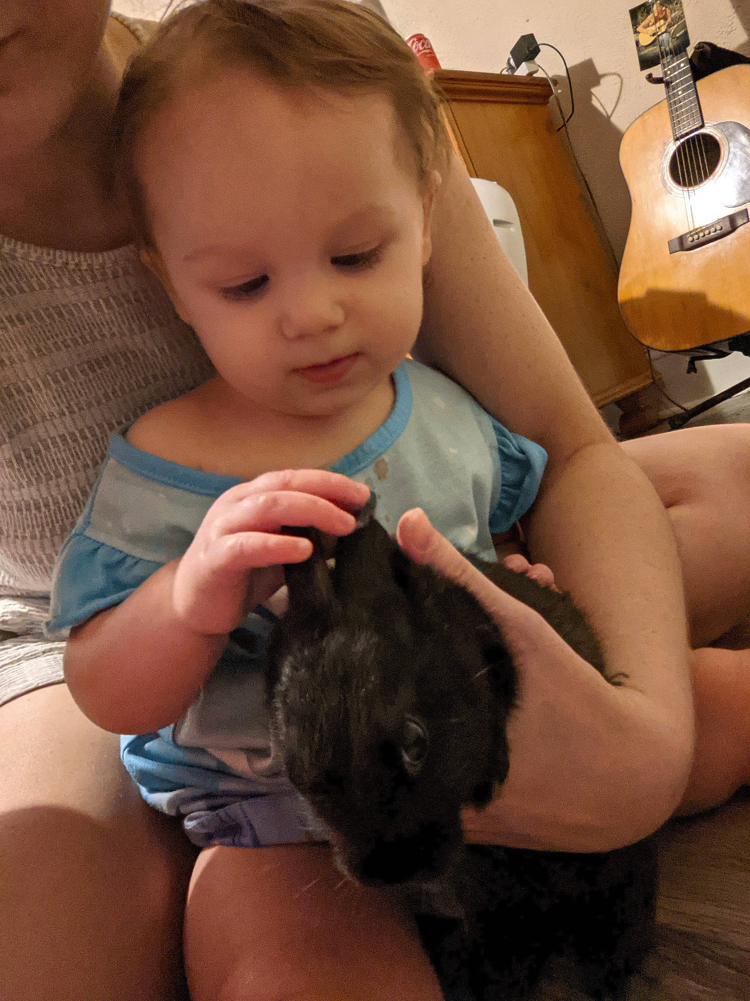 Keira joined the competition — help win amazing prizes! baby, baby_toddler_clothing, carnivore, finger, gesture, guitar, happy, human, joint, lap, mammal, musical_instrument, nail, neck, person, shoulder, skin, thigh, thumb, toddler