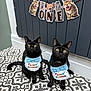 black_cat, cat, birthday, bib, floor, tile_floor, patterned_floor, banner, cartoon_cats, celebration, indoor, pet, animal, two_cats, yellow_eyes, blue_bib, decor, festive, cute, posing