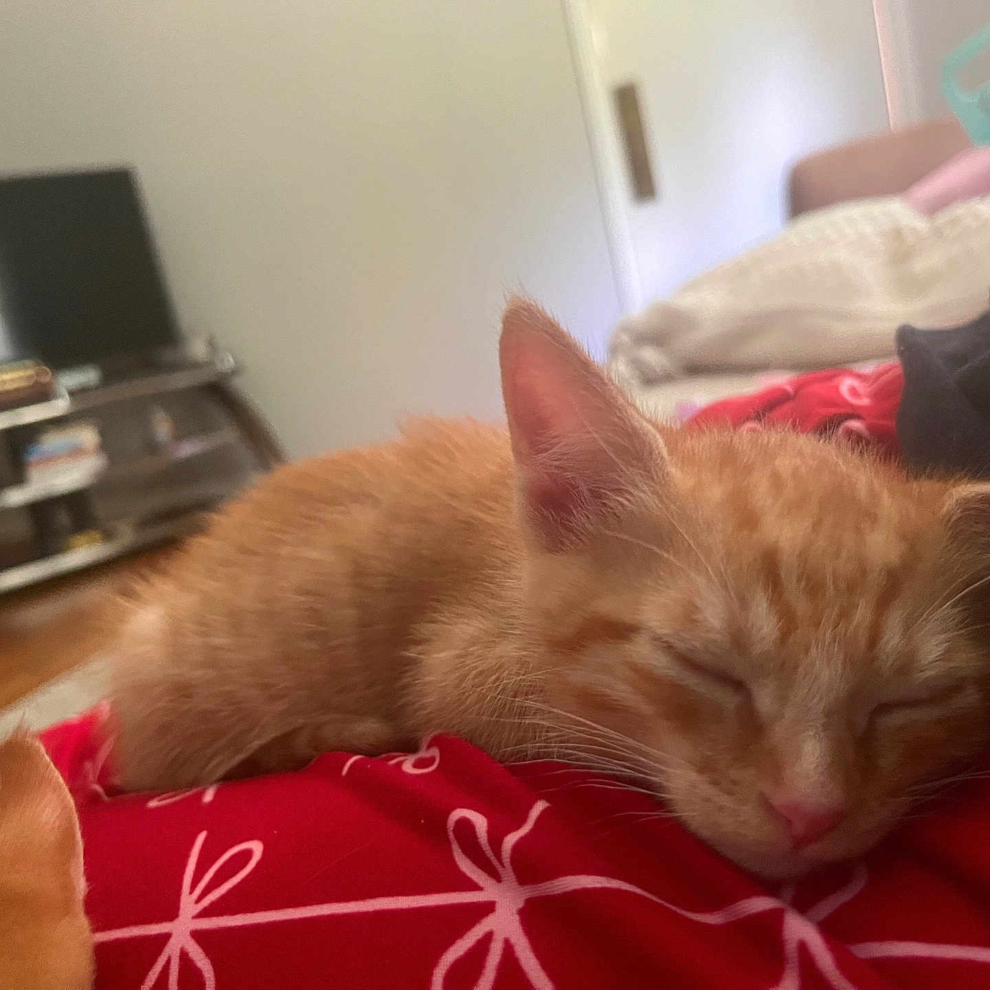 Tangerine
