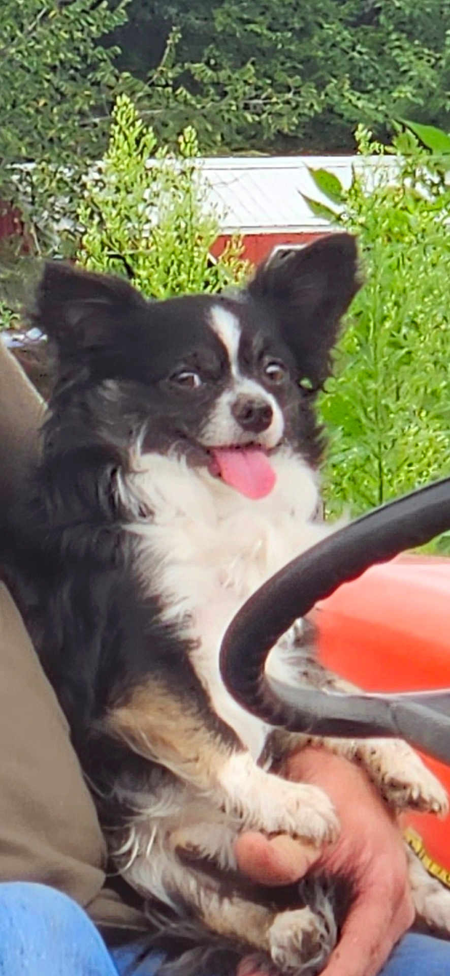 Turbo