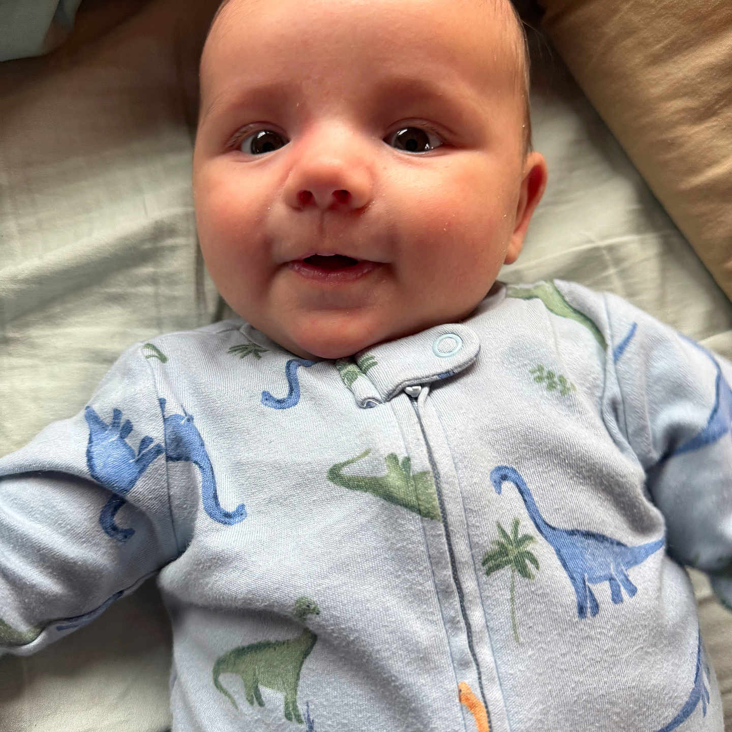 Grayson joined the competition — help win amazing prizes! baby, bodypart, clothing, coat, face, happy, head, jacket, knitwear, newborn, pants, pattern, person, photography, portrait, quilt, shirt, sleeve, smile, sweater