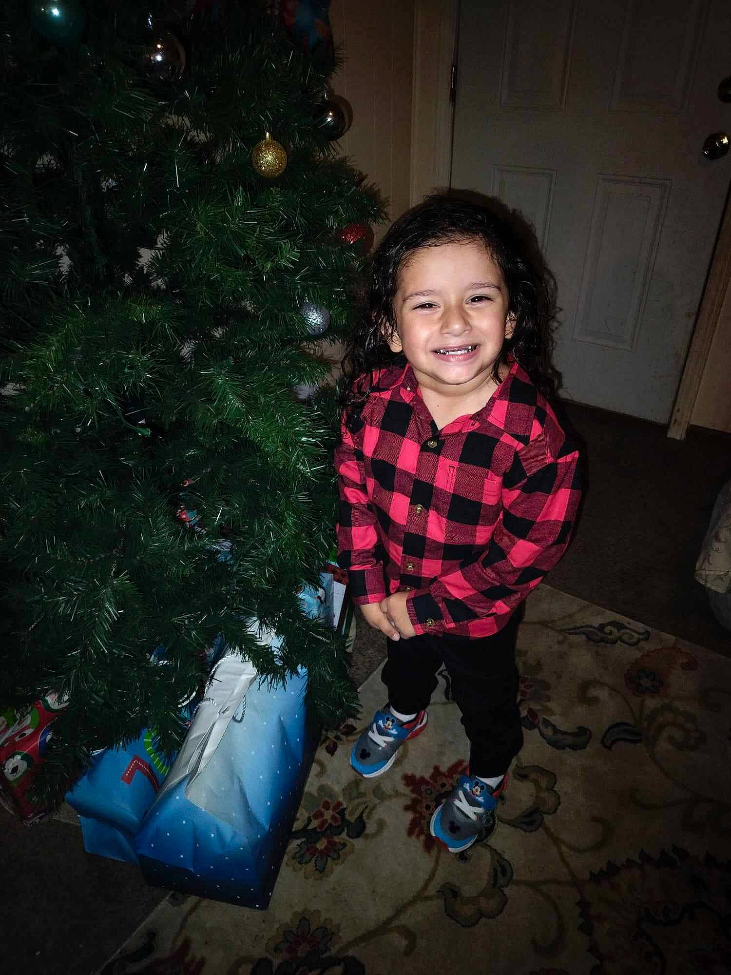 Elijah is registered to the contest to win money with this photo: christmas, christmas_decoration, christmas_eve, christmas_ornament, christmas_tree, event, evergreen, flash_photography, fun, happy, holiday, holiday_ornament, joy, ornament, pattern, person, plaid, sleeve, smile, standing