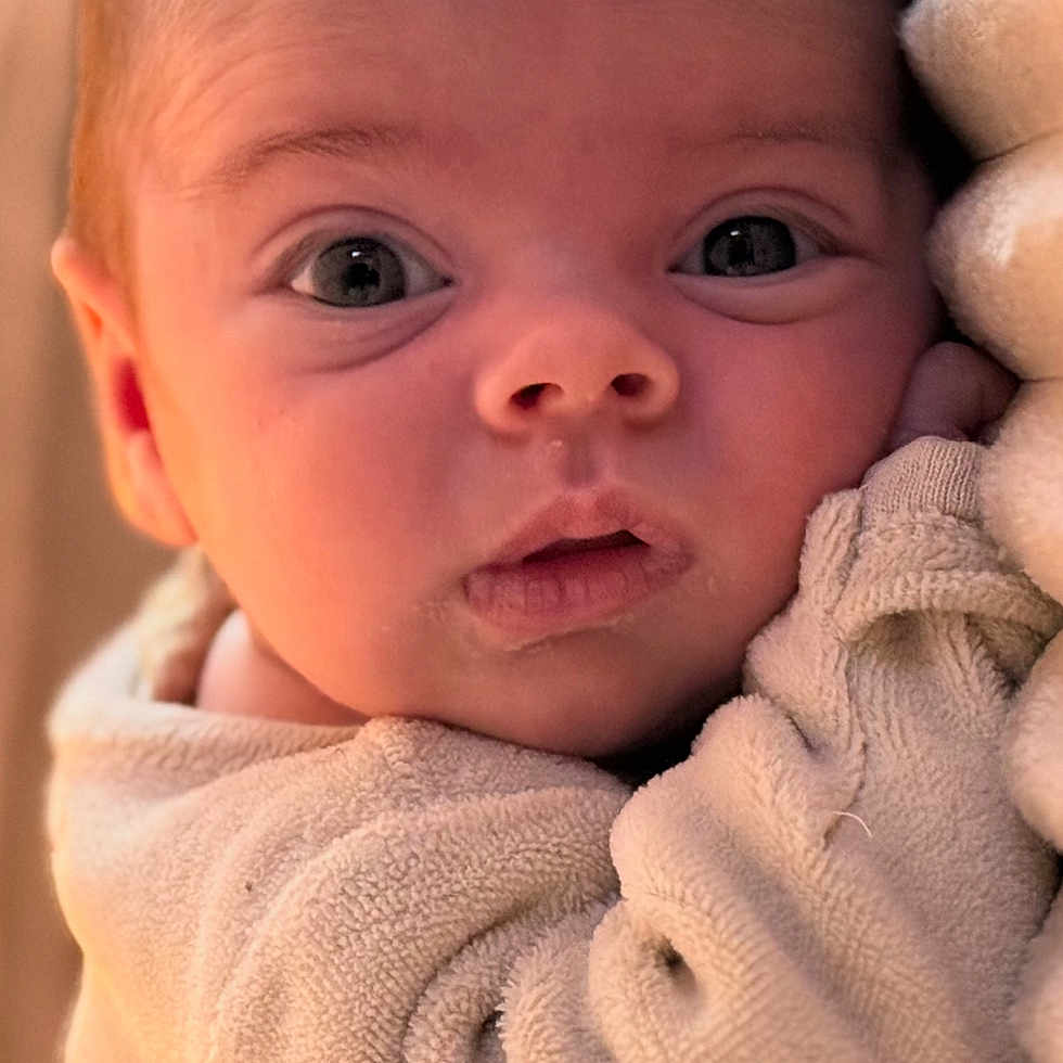 Dune a rejoint le concours — aidez-le/la à gagner de superbes lots ! baby, infant, face, eyes, blanket, cozy, soft, portrait, closeup, child, cute, newborn, fuzzy, warm, skin, expression, indoors, head, person, sleepwear