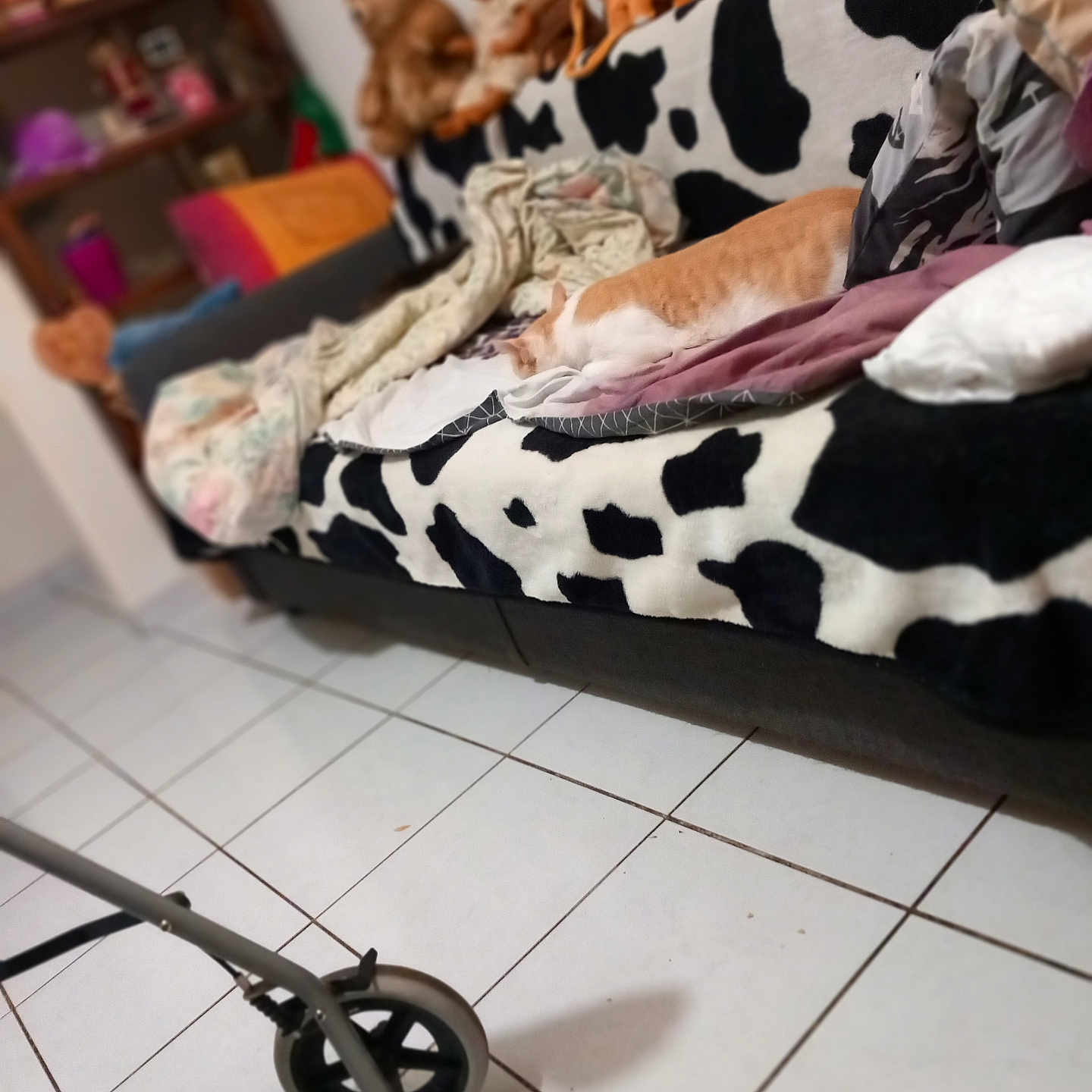 Pomponette