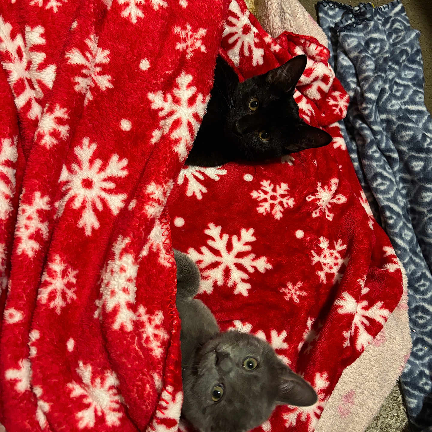 Shadow And Eclipse