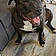 Roxie